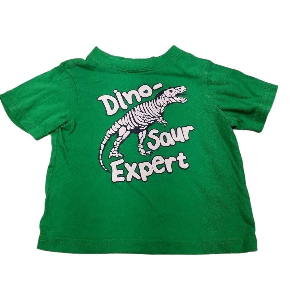 Children's Place Dinosour shirt 12-18 months